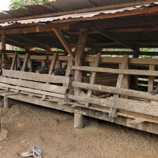 2017: Reise und Projektbericht - Loilem, Myanmar, Bild 16