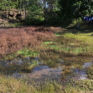 2015: Loilem, Myanmar, Bild 32
