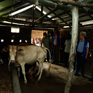 Projekt Tierzucht – Oktober 2024, Bild 3